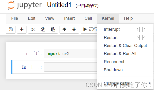 jupyter notebook的常见报错问题：ModuleNotFoundError:No Module named “cv2“