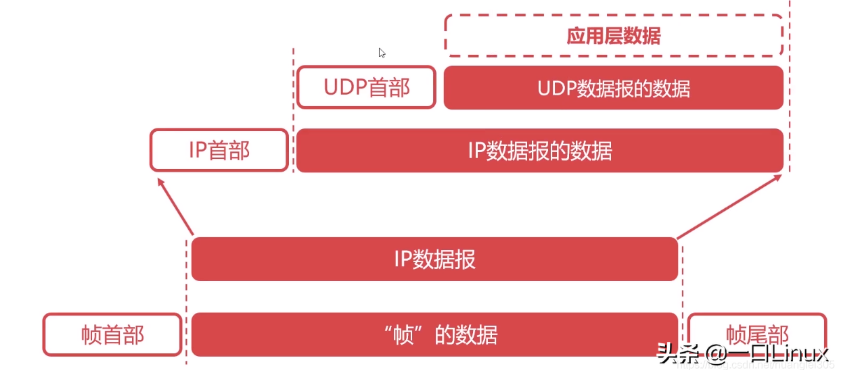 网络及其计算的重点知识及回顾