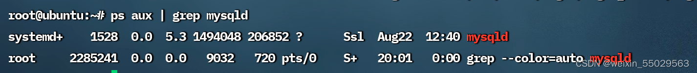 linux杀进程