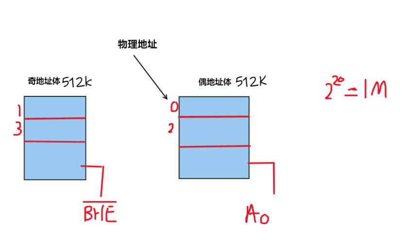 8086，8088CPU管脚，奇偶地址体， ready信号，reset复位信号。规则字和非规则字