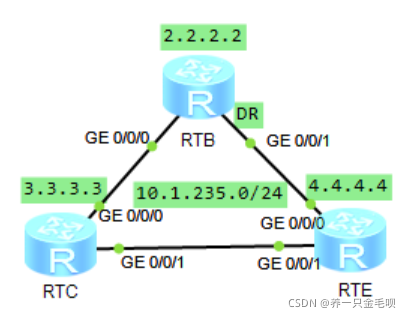 OSPF的Router-LSA和Network-LSA_router lsa字段-CSDN博客