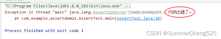 java 断言