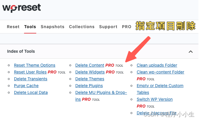 WordPress 还原插件：Tools 区域可指定单一项目的清除