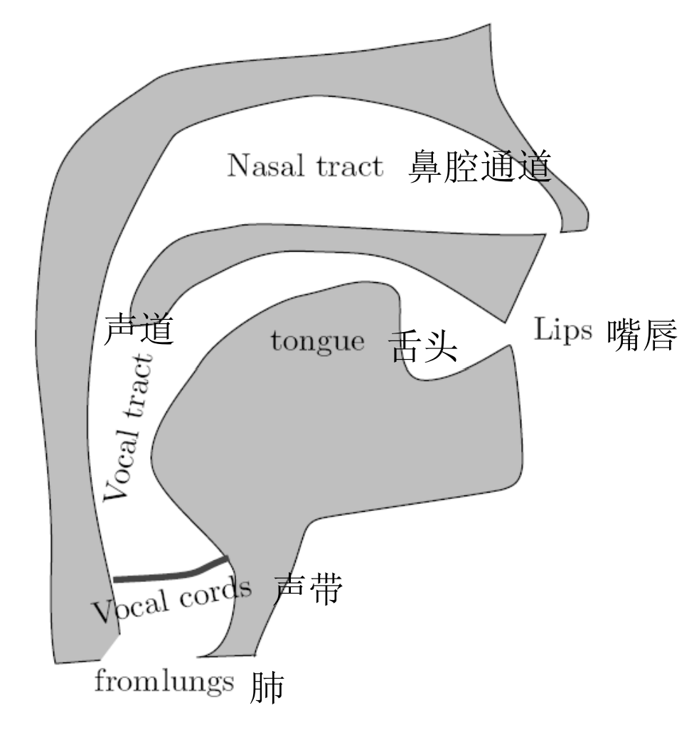 唱歌通道示意图图片