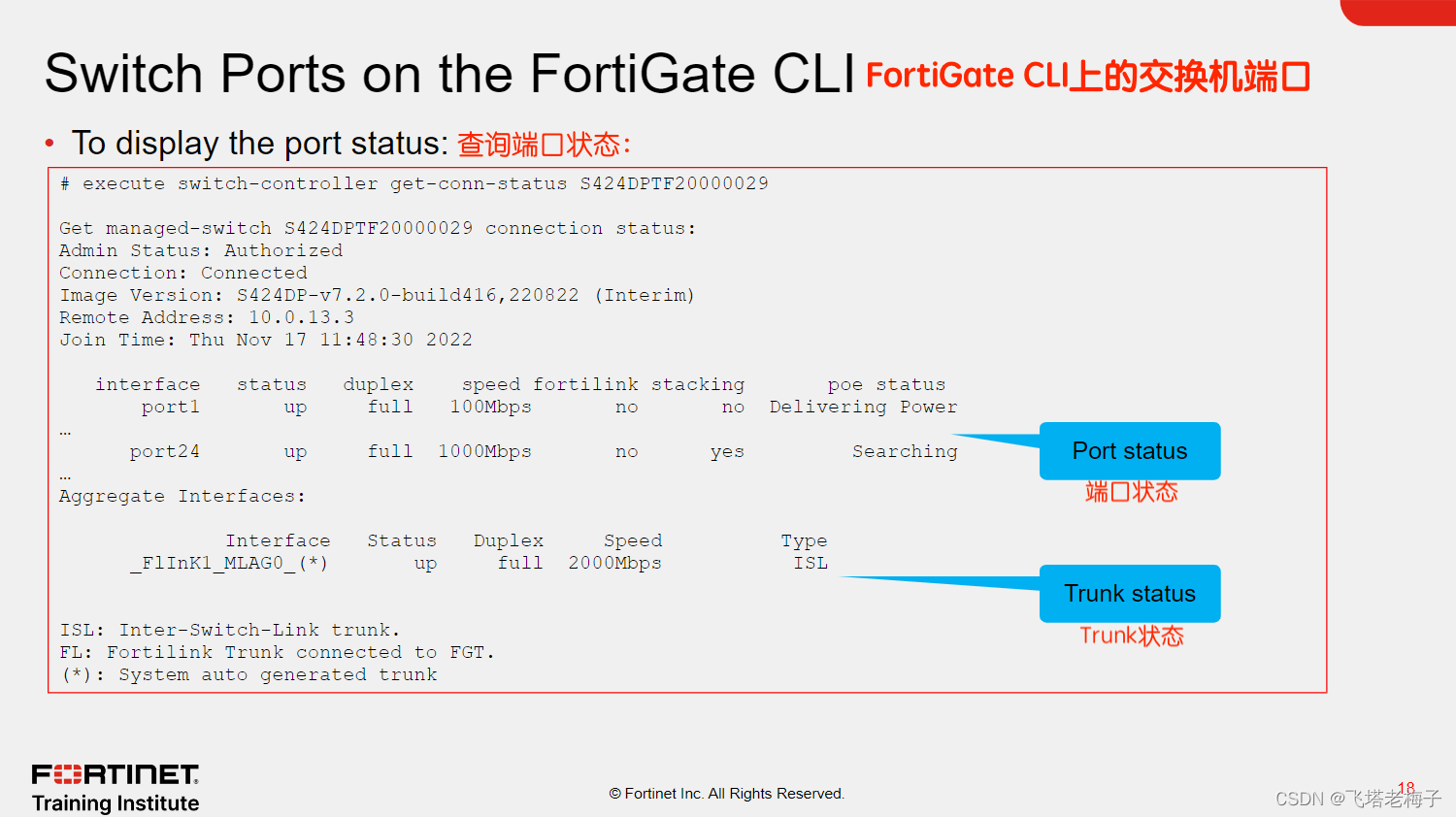 NSE6_FSW-7.2 Online Test