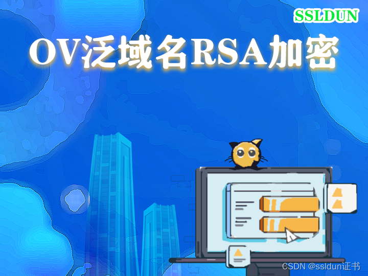 苏州OV泛域名RSA加密算法https