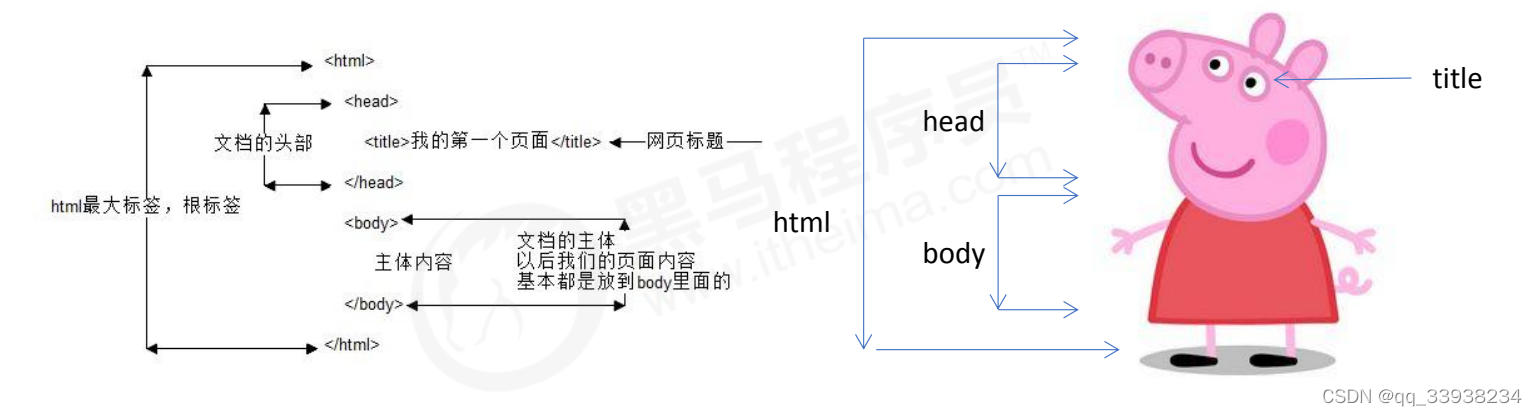 HTML结构图