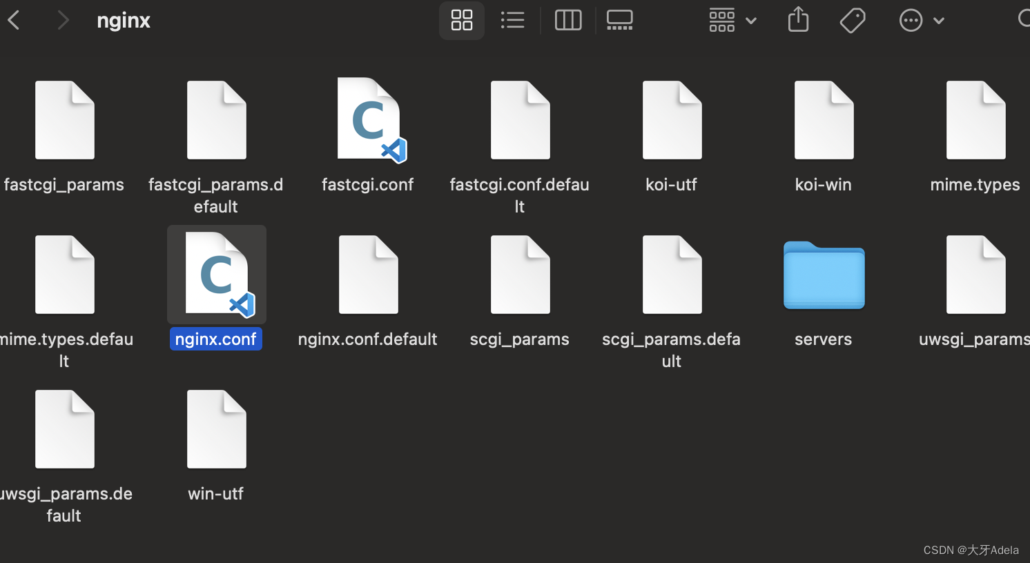 mac使用brew安装nginx并使用_brew install nginxCSDN博客