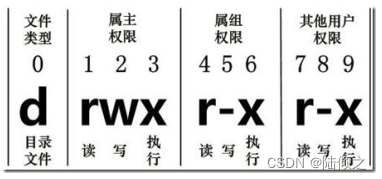 [外链图片转存失败,源站可能有防盗链机制,建议将图片保存下来直接上传(img-IyYOg0MF-1684739922506)(文件权限类命令.assets/image-20221008214501351.png)]