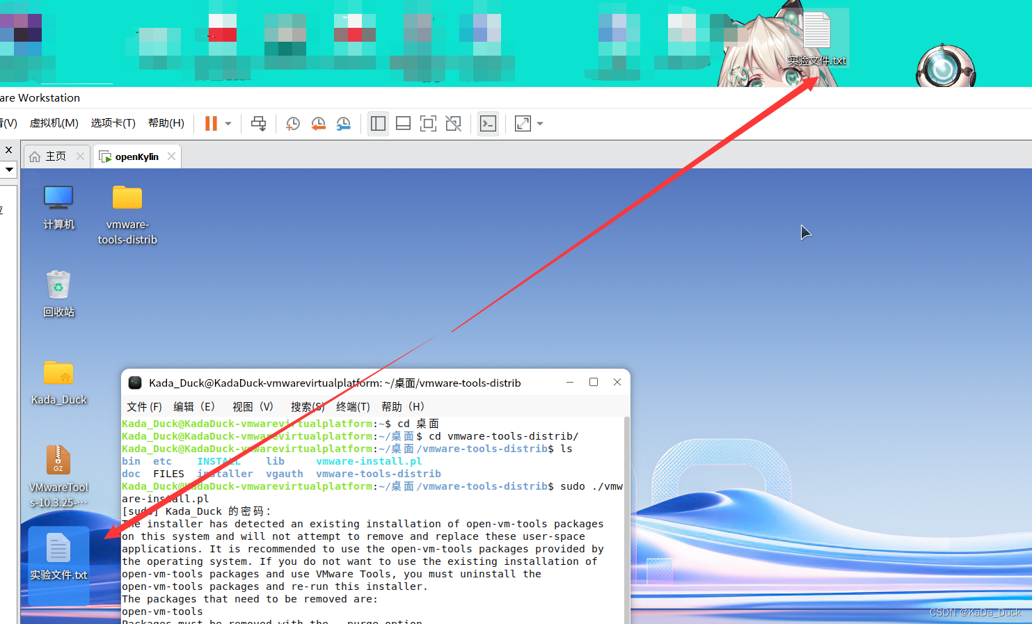 使用openKylin操作系统下载VMware Tools教程（超详细图文教程）