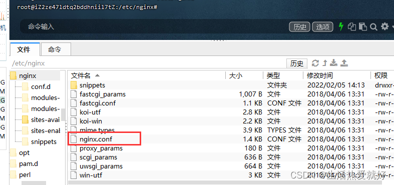 在这里插入图片描述