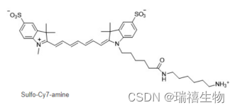 Cy7-NH2/amine氨基修饰荧光染料