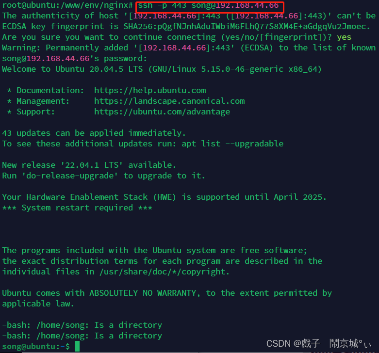 让HTTPS、SSH 共享端口的——工具SSLH