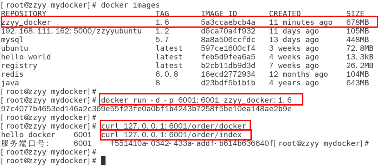 docker entrypoint