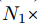 N1×