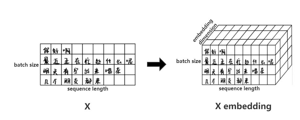 XX embedding