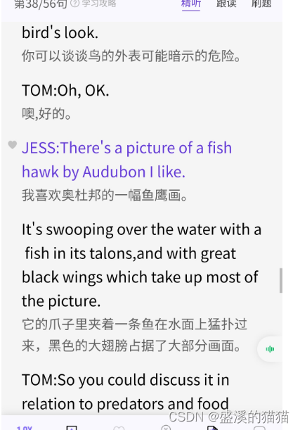 Fish Hawk by Audubon