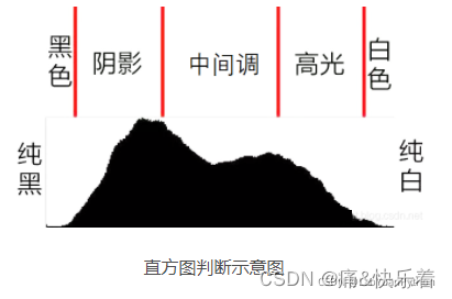 ここに画像の説明を挿入