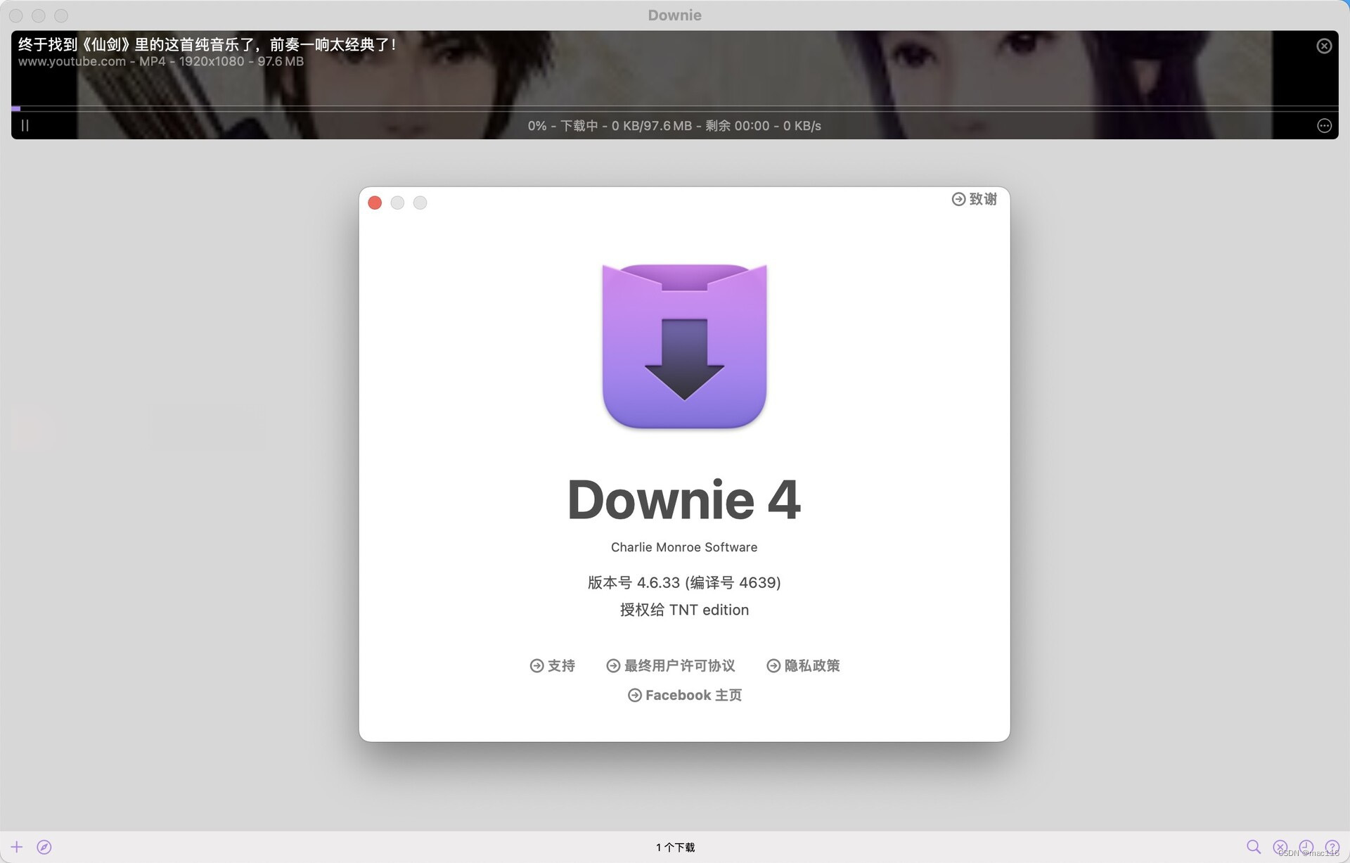 视频下载工具Downie4 mac中文支持格式