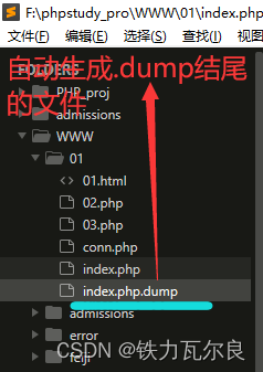 .dump结尾文件