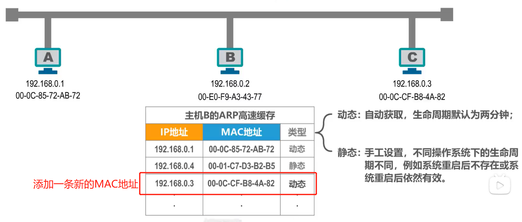 MAC地址、IP地址、ARP协议