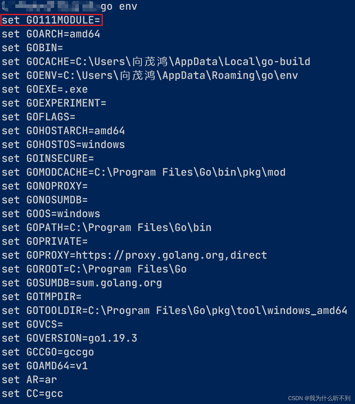 goland运行go程序时会报goland Error Package contains