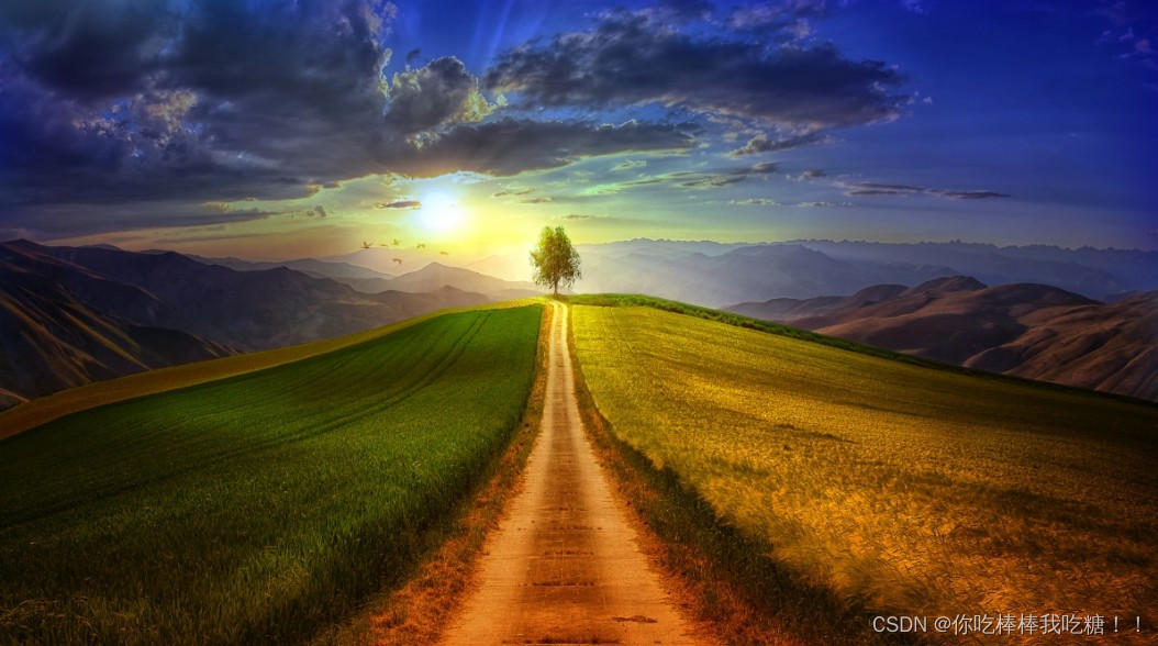 在这里插入图片描述