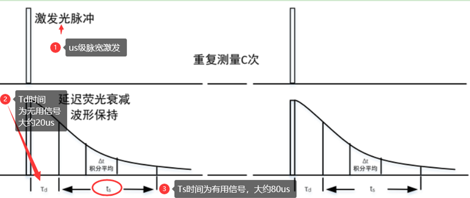 ▲ 图1.1.2 荧光测量时序工作流程