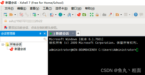 SSH 下载及安装之 Windows Server