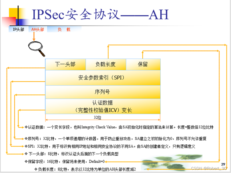 AH协议格式