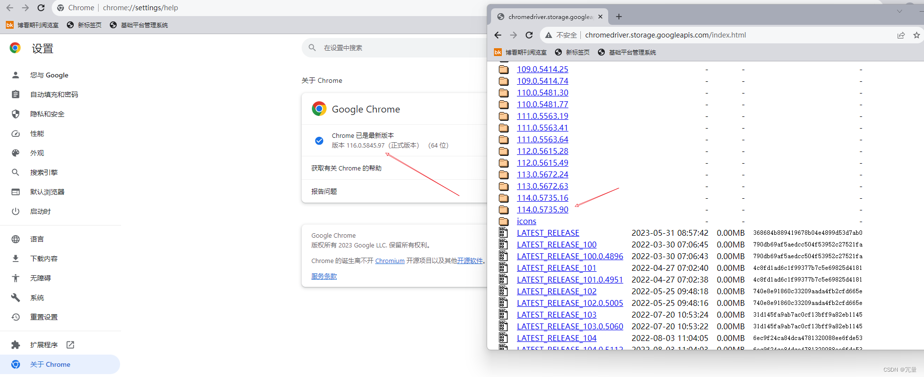 chromedriver 的新下载地址_chromedriver最新下载地址CSDN博客