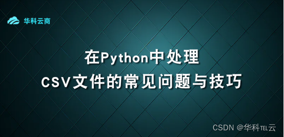 在Python中处理CSV文件的常见问题
