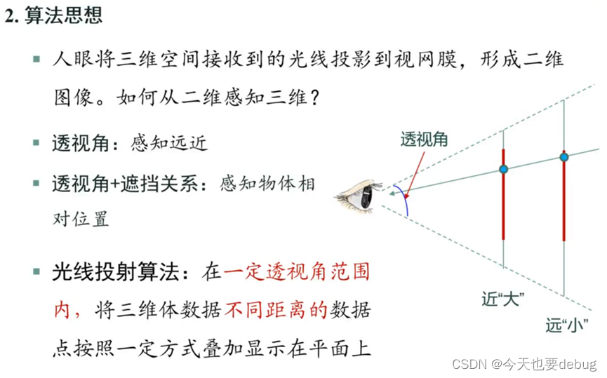 五彩缤纷打一准确生肖