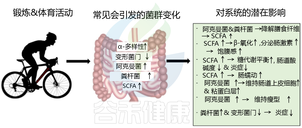 watermark,type_d3F5LXplbmhlaQ,shadow_50,text_Q1NETiBA6LC356a-54mb5Y2a,size_20,color_FFFFFF,t_70,g_se,x_16