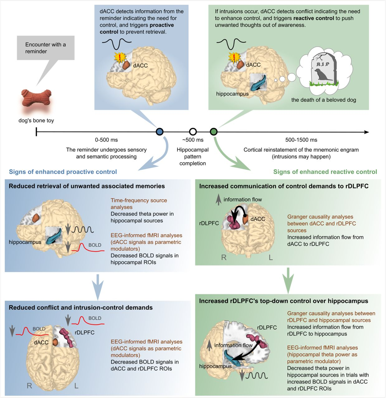 文献阅读 day12_anterior cingulate cortex-csdn博客