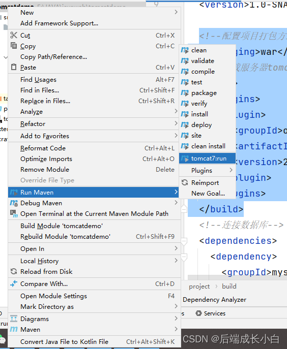 JAVA WEB常用插件配置_javaweb plugins-CSDN博客