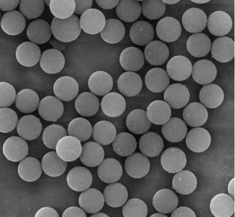 磺酸基修饰的聚苯乙烯核壳结构微球，磁核粒径50-80nm，聚苯乙烯粒径30-50nm