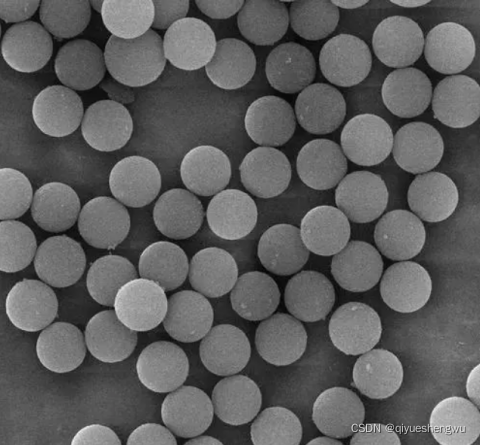 磺酸基修饰的聚苯乙烯核壳结构微球，磁核粒径50-80nm，聚苯乙烯粒径30-50nm