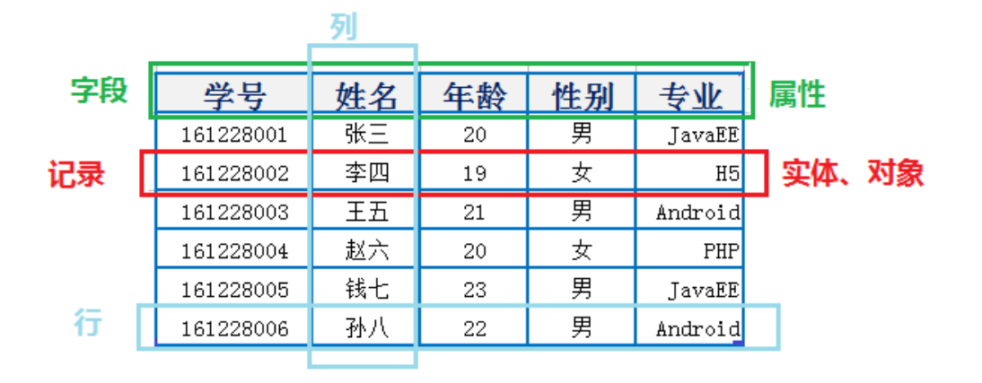 表、记录、字段