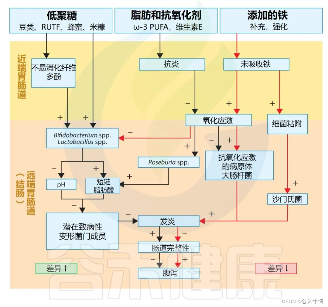 揭示肠道菌群在儿童营养生长不良中的关键作用