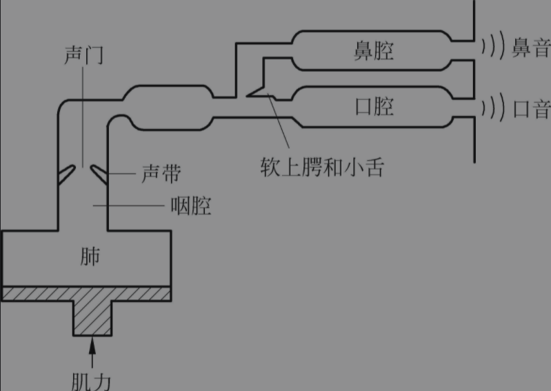 一)人体的发声原理