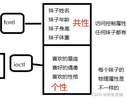 [外链图片转存失败,源站可能有防盗链机制,建议将图片保存下来直接上传(img-UY1qcEZA-1645689964372)(Linux系统编程笔记.assets/文件属性的共性与个性.png)]