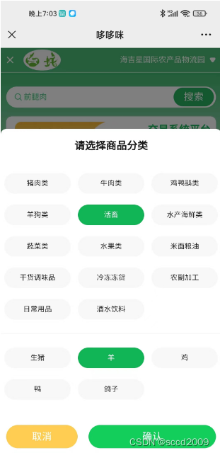 Vue项目实战之一----实现分类弹框效果