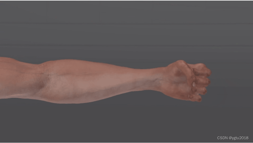 Blender插件：Muscle System