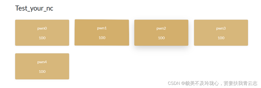 PWN Test_your_nc Write UP