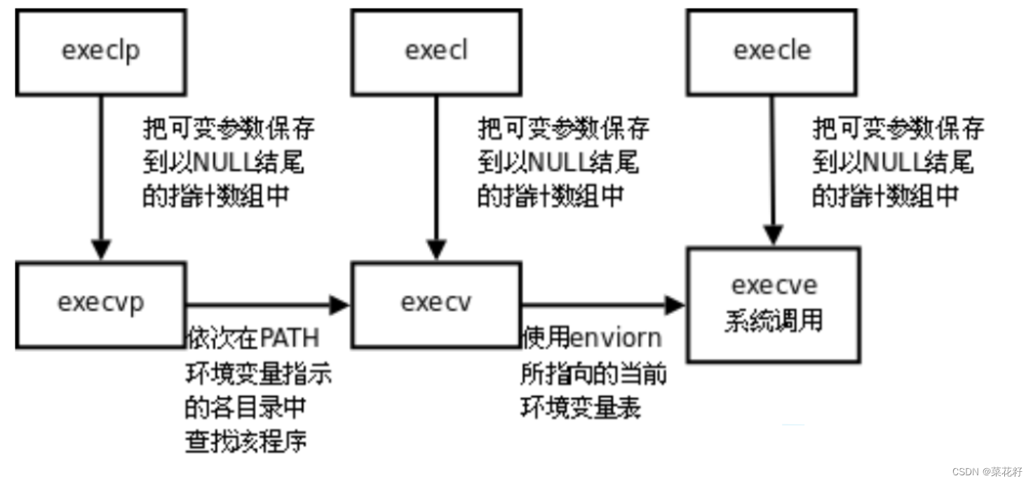 【Linux】：进程程序替换