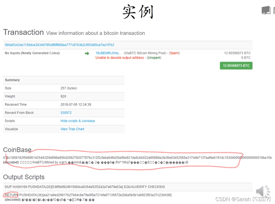 coinbase 和 output scripts return之后 ,都可用来 写入things,将其永久保存在blockchain中