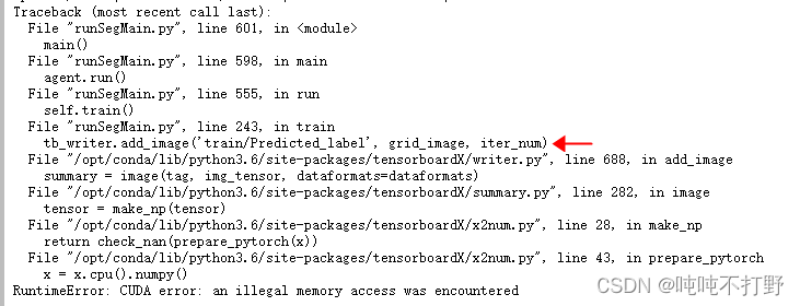 RuntimeError: CUDA error: an illegal memory access was encountered