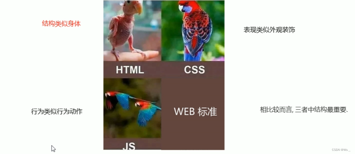 2.HTML中常用浏览器