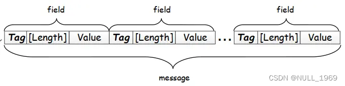 protobuf编码格式解析